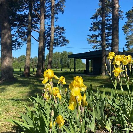 Villa Maennituka Suvetuba Kirikukula  Экстерьер фото
