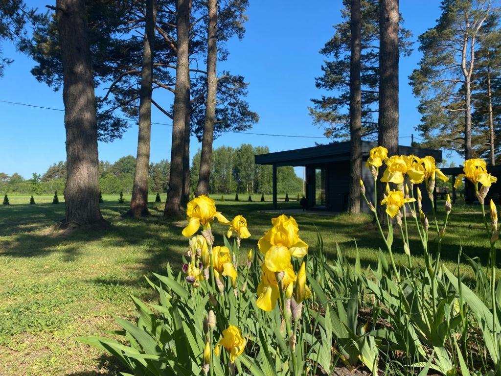 Villa Maennituka Suvetuba Kirikukula  Экстерьер фото