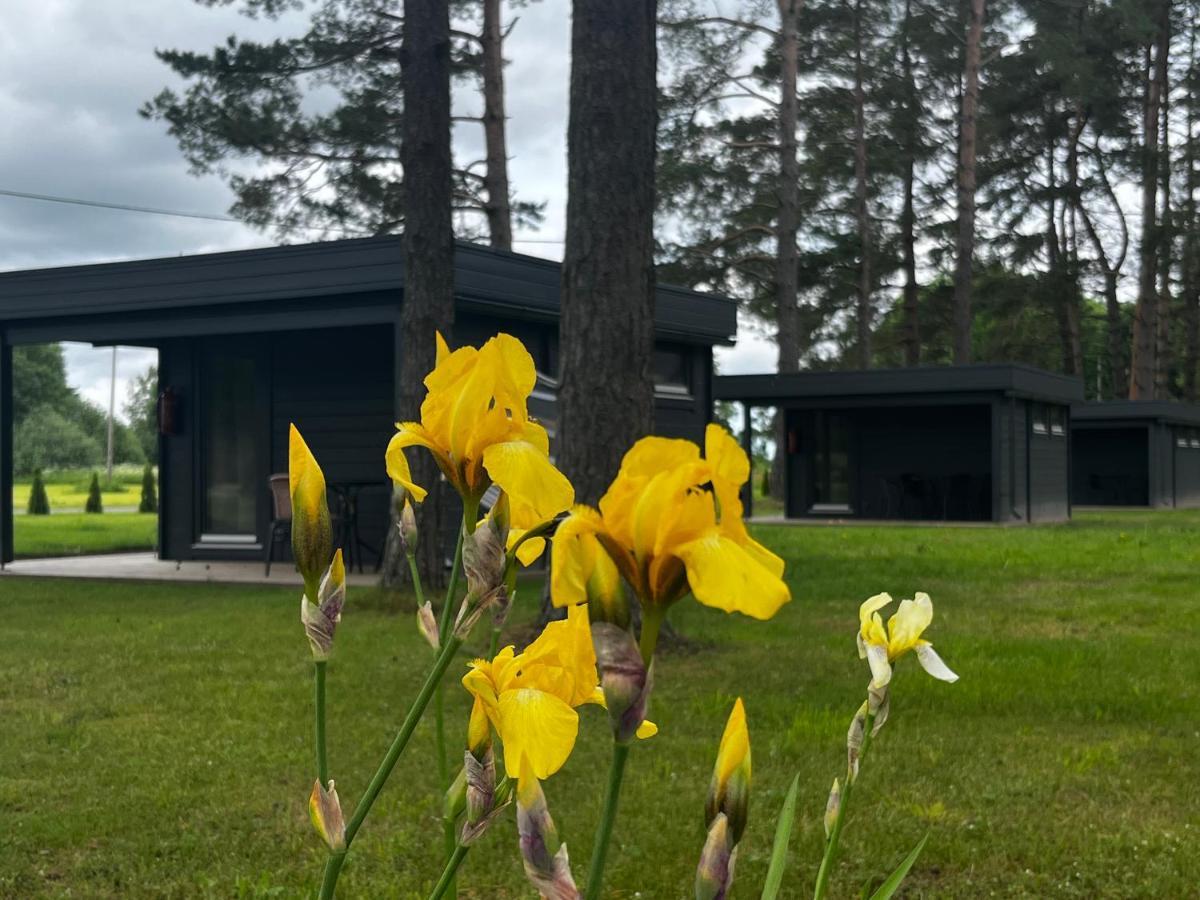 Villa Maennituka Suvetuba Kirikukula  Экстерьер фото